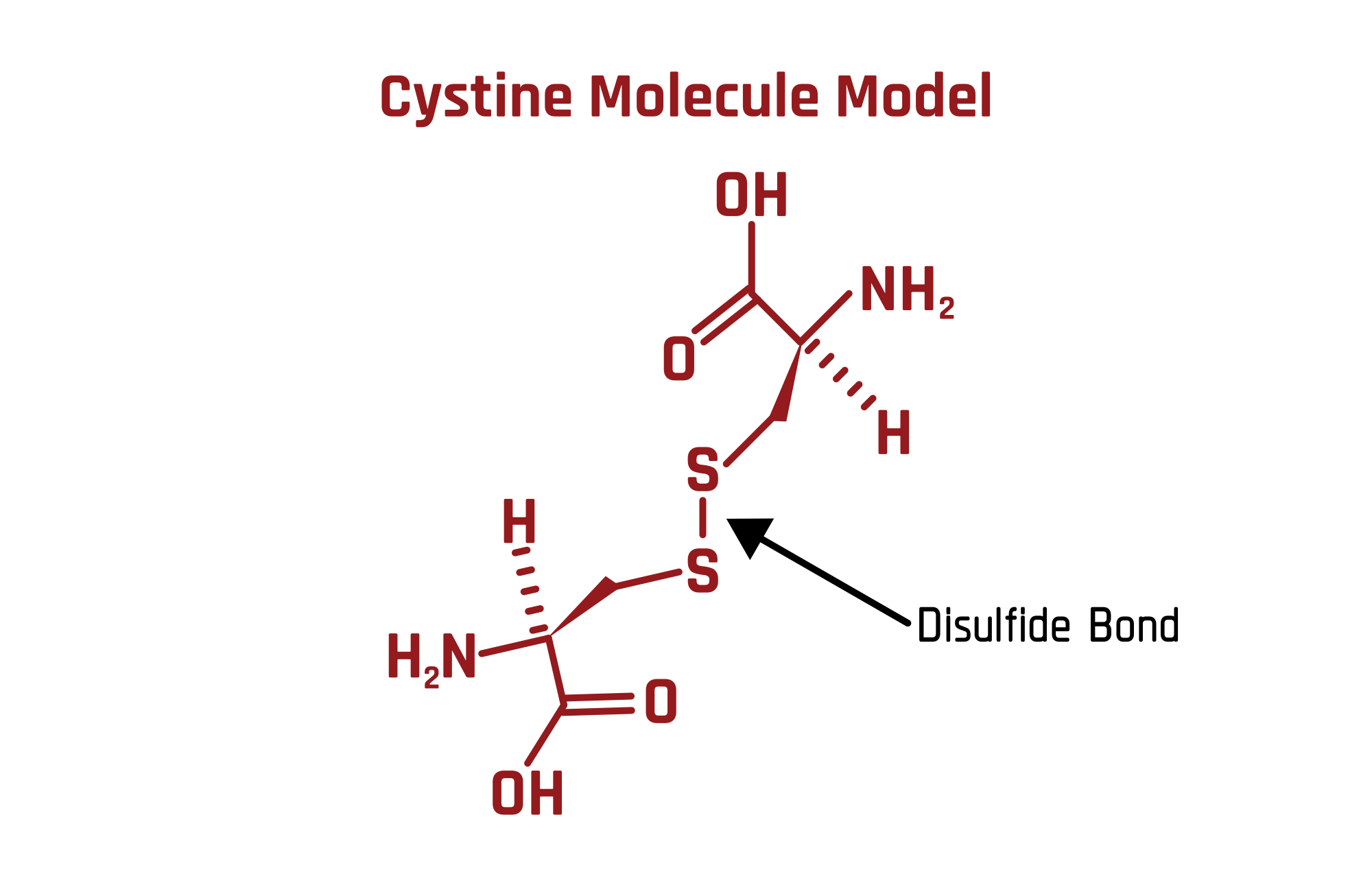 Cystine Kidney Stones- The Nastiest of All Stone Relief