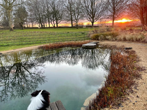 Practising Self-Love - Wild Swimming 