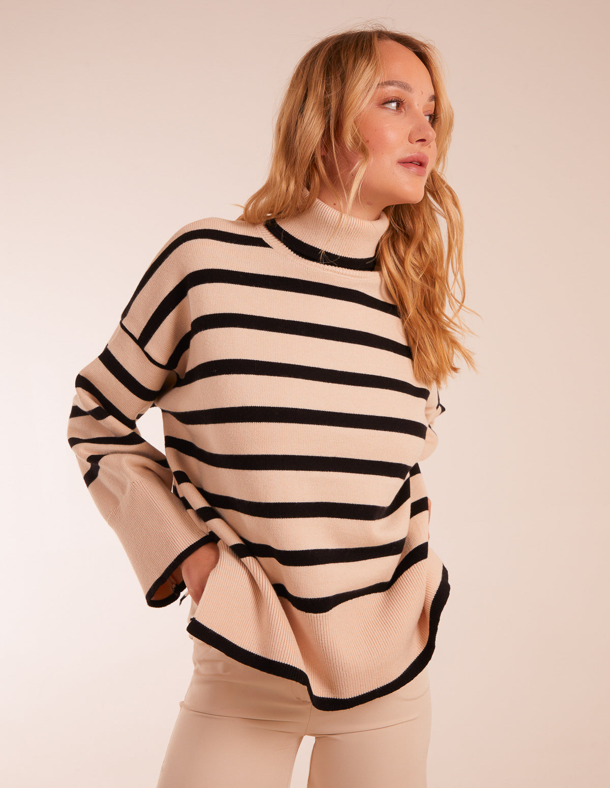 Wide Stripe Roll Neck Jumper 