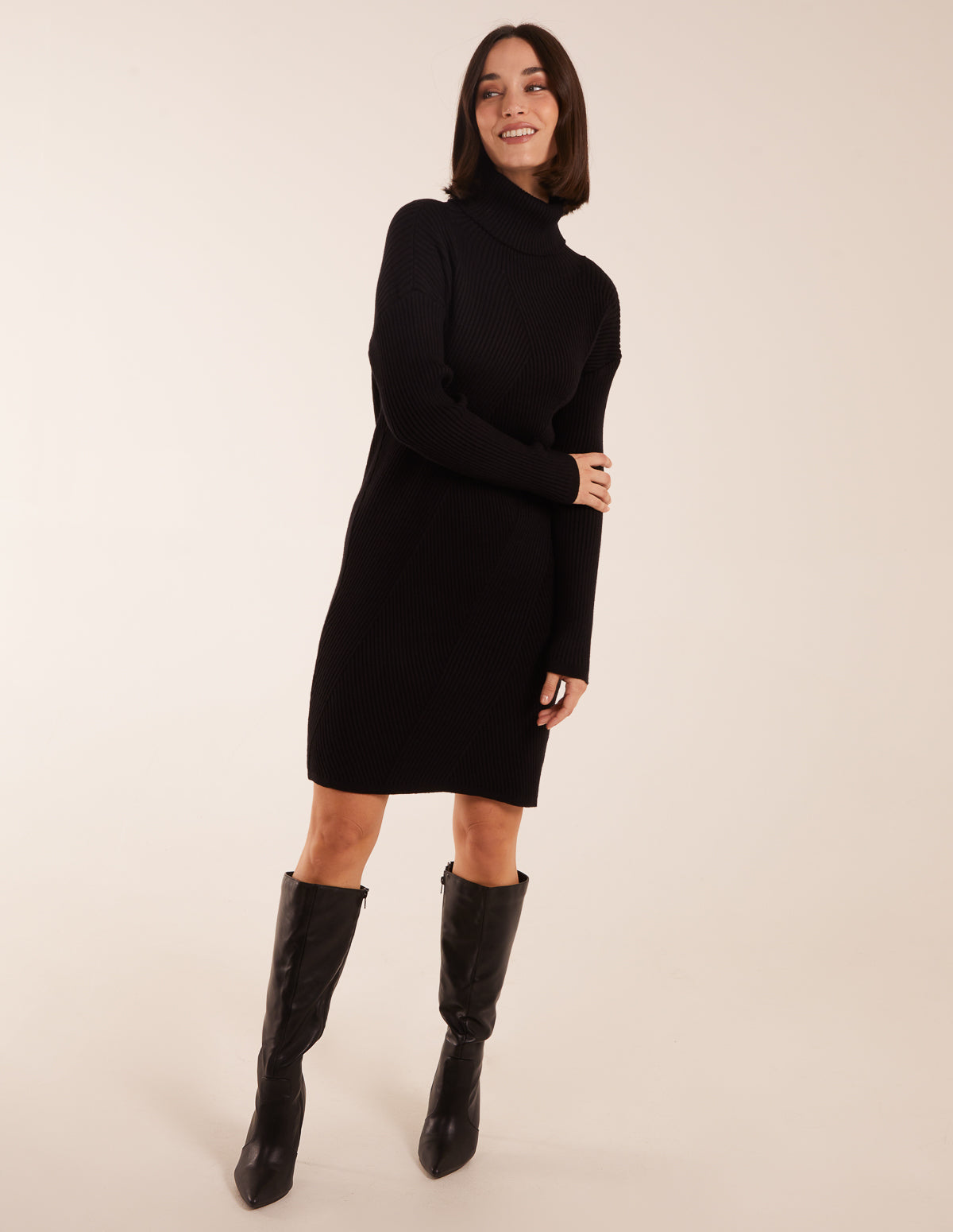 Rib Knitted Roll Neck Jumper Dress 