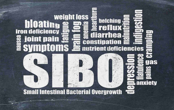 Sibo symptoms