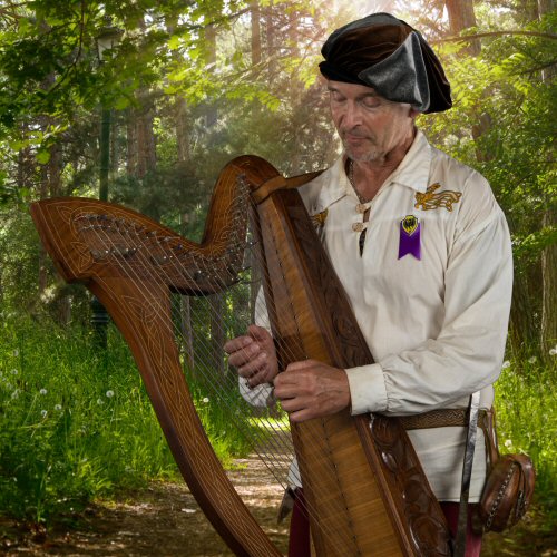 Guy Todd Wandering Harpist