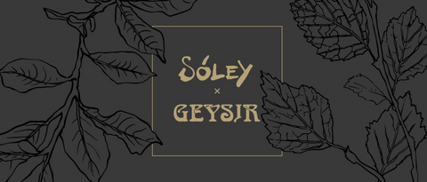 Soley x Geysir