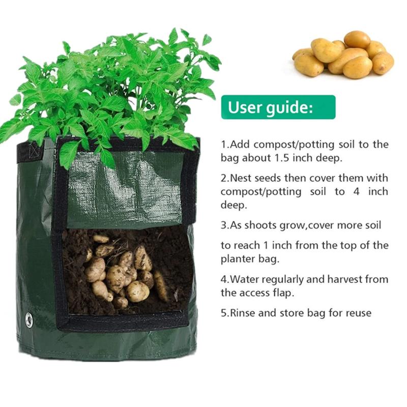 Vegetable Grow Bags | Amazing Garden