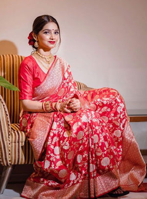 Designer Sari