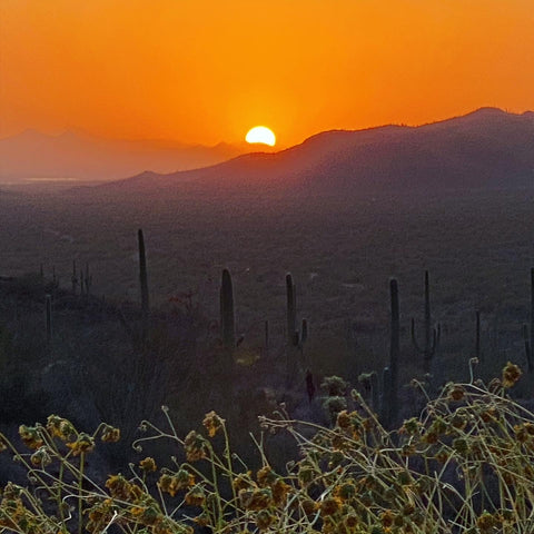 Tucson Arizona Sunset