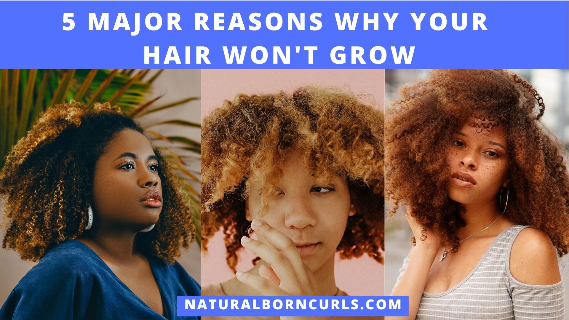 Top 5 Reasons Why Your Natural Curly Hair Isn't Growing – Natural Born Curls