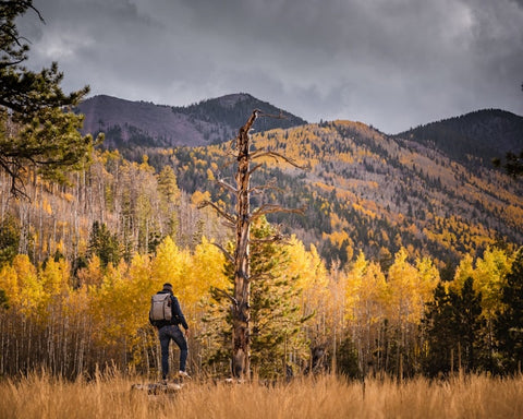 Flagstaff Arizona