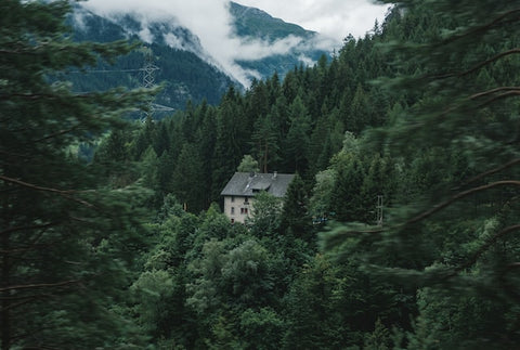 home in nature