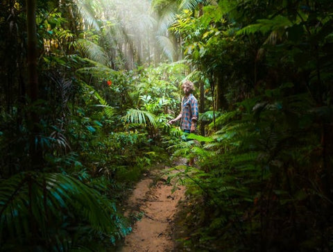 man standing in jungle