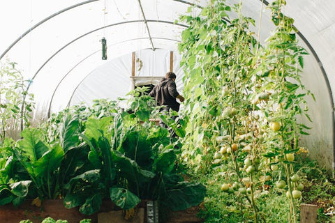 small greenhouse