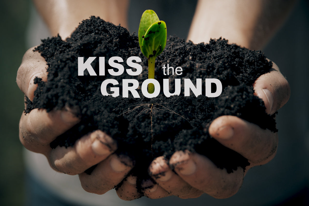 Kiss The Ground