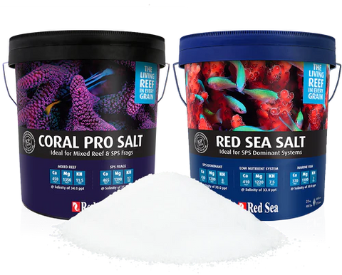Sal Coral Pro del Mar Rojo