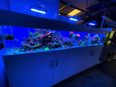 9ft saltwater reef aquarium
