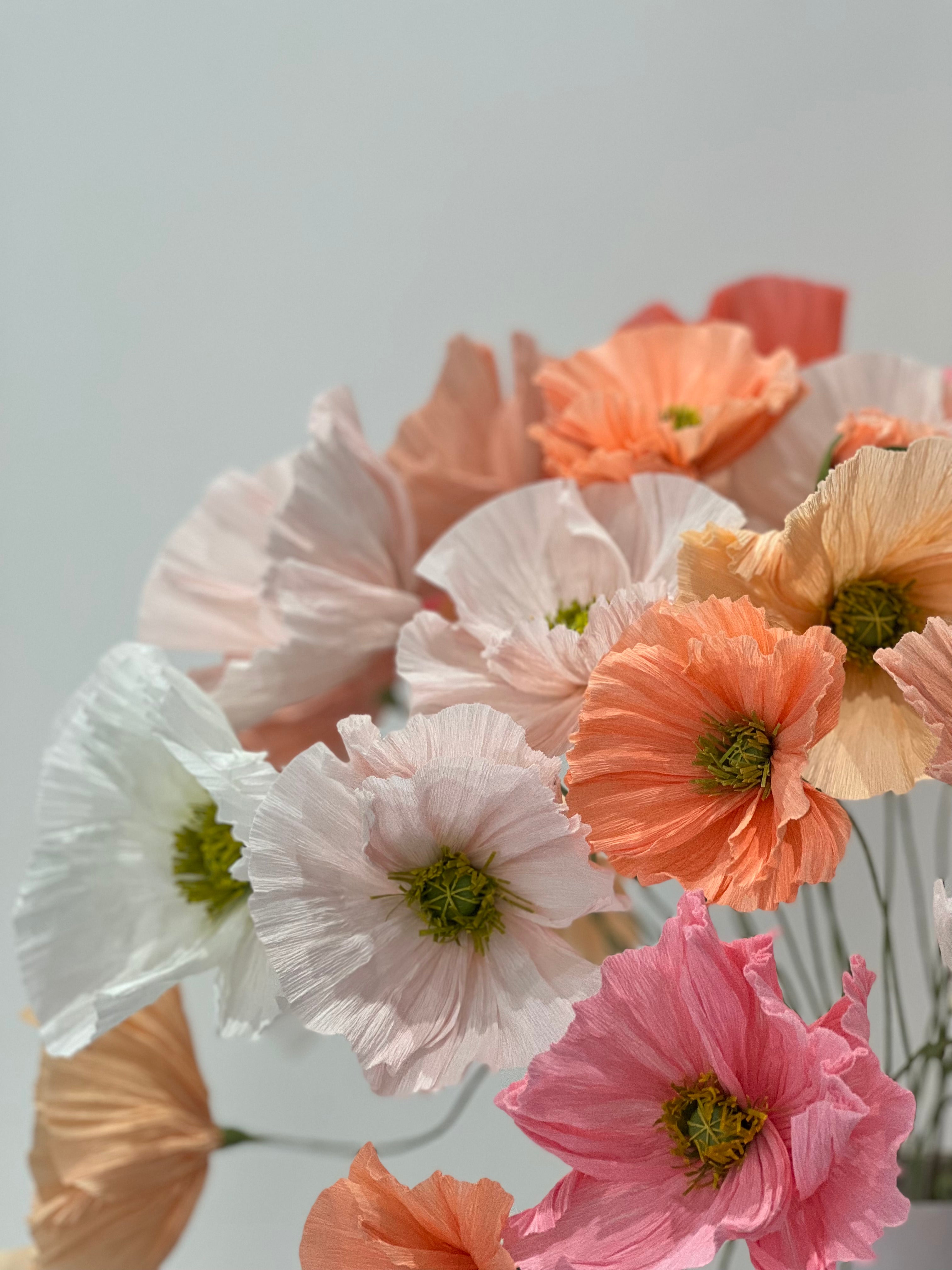 A mesmerizing composition of paper poppies in a range of colors, including vibrant reds and soft pinks.