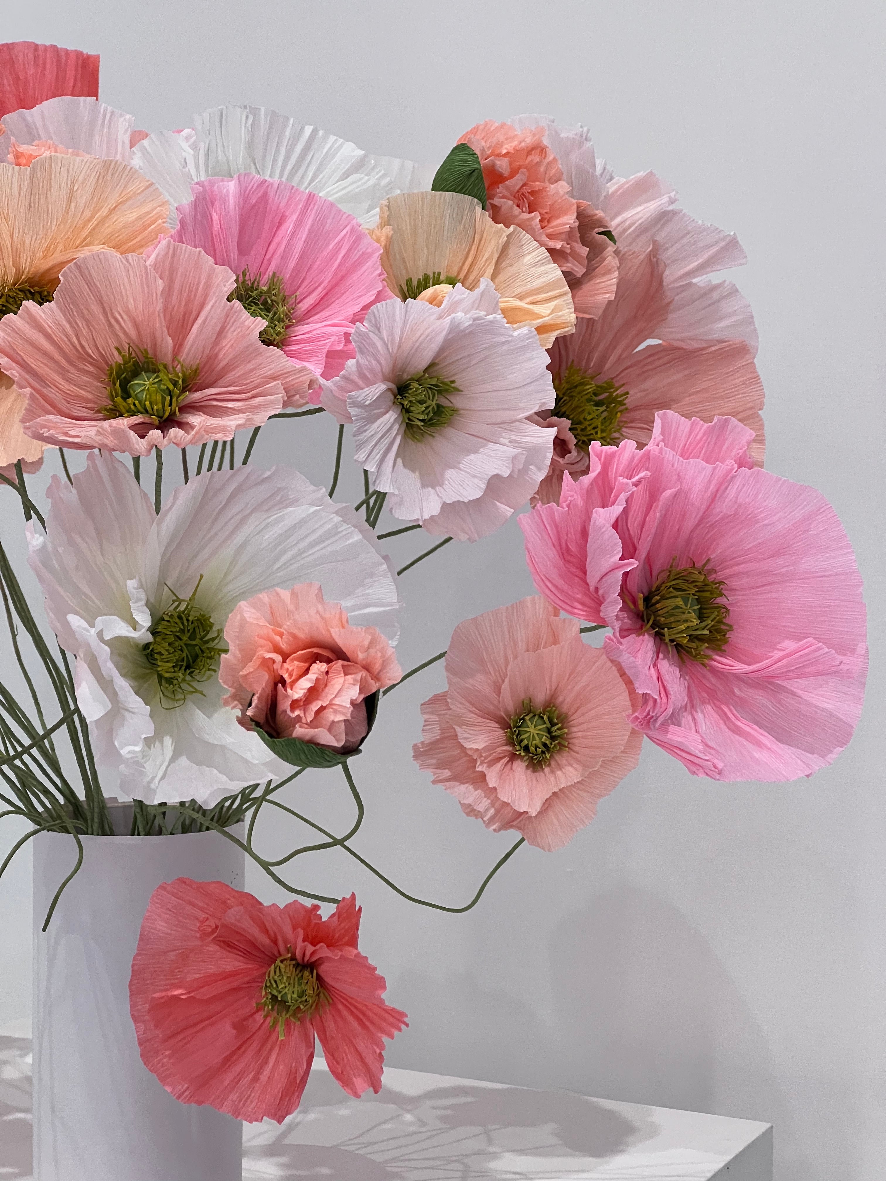 A group of paper poppies with delicate stems and petals, creating a whimsical and enchanting atmosphere.