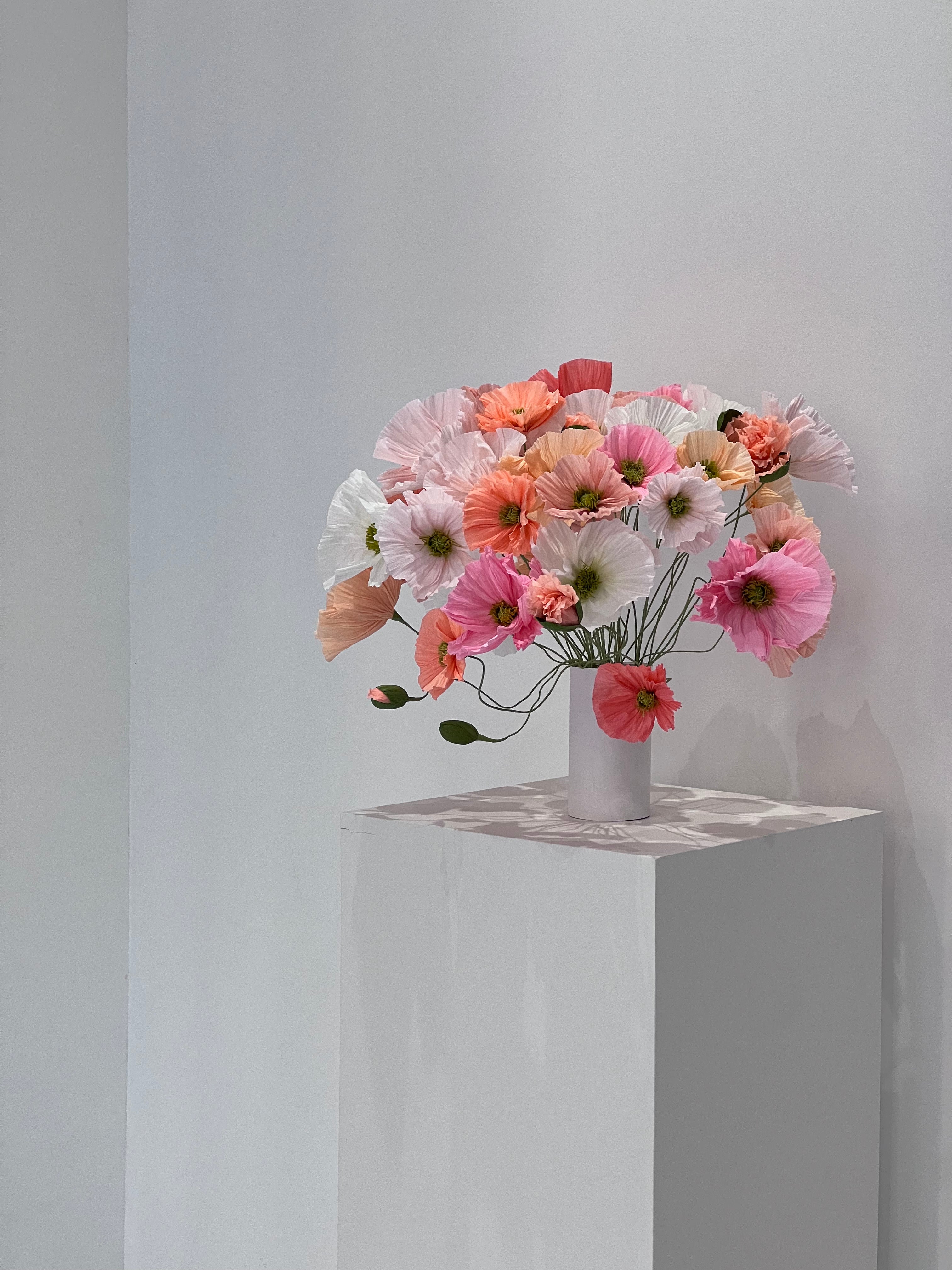 A stunning display of paper poppies in various stages of bloom, creating a dynamic visual effect.