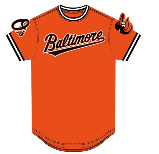 Baltimore Orioles Pro Standard Team Logo T-Shirt - Black