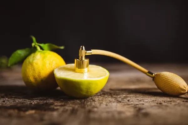 Esencia de perfume de bergamota con difusor, destacando sus propiedades aromáticas y los beneficios de que son los terpenos en la industria de fragancias.