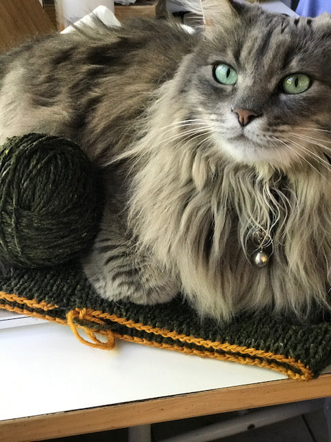 Emanuela's cat helpfully lies atop her knitting.