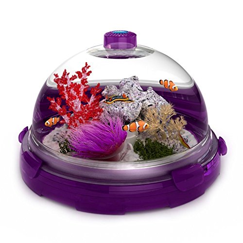 Bio Bubble Aquatic Kit (Purple) – inovago