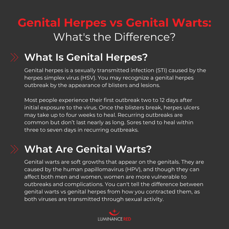 genital warts vs genital herpes