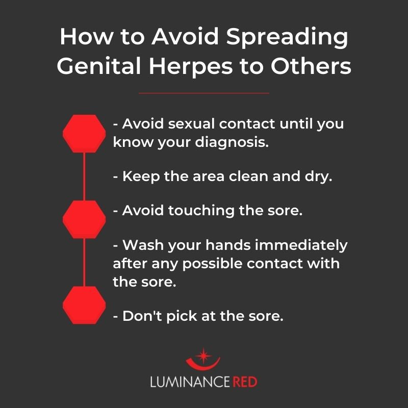 Infographic: Can Genital Herpes Be One Bump or Is It Multiple Blisters?