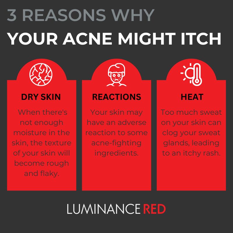 Infographic: 3 Reasons Why Your Acne Might Be Itching