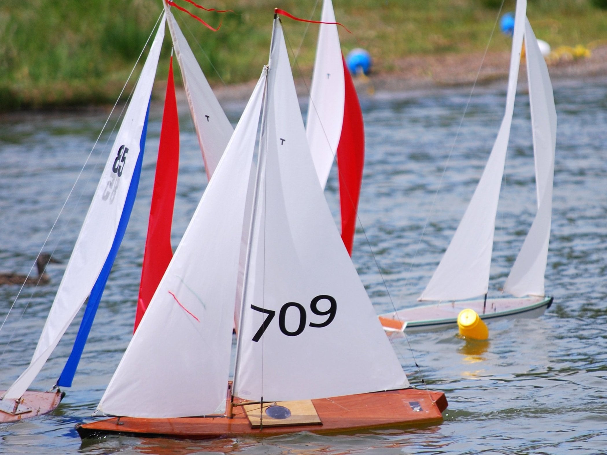 rc sailboat racing