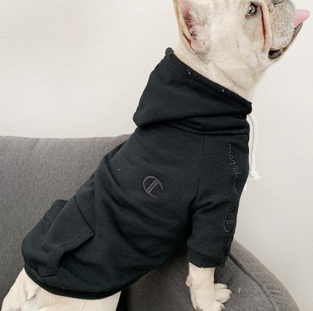 champion hoodie for dogs