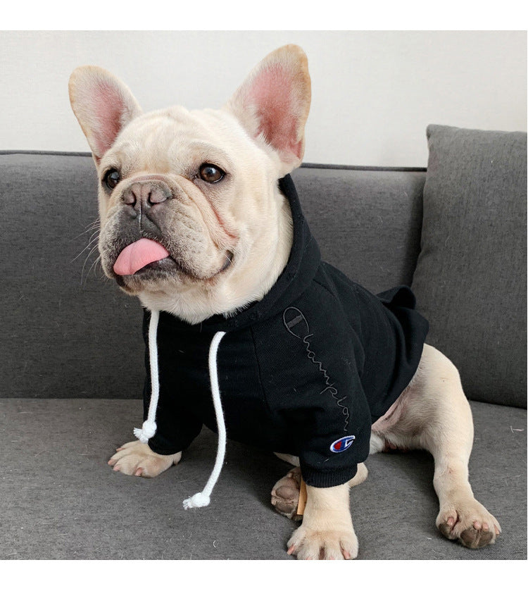 champion hoodie for dogs