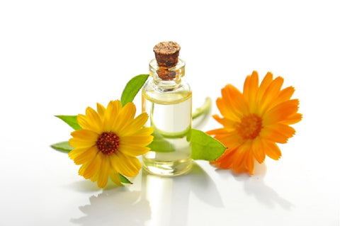 Calendula oil is used in Vision Products' natural skin care and hair care products