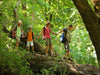 Children Explore Forest