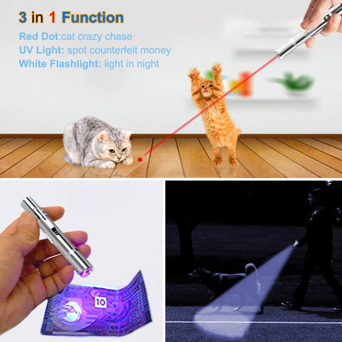 Cat LED Chase Toy