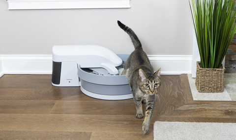 Best Self Cleaning Litter Boxes Cat Cave Co