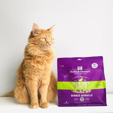 Stella & Chewy's Freeze-Dried Raw Dinner Morsels for Cats