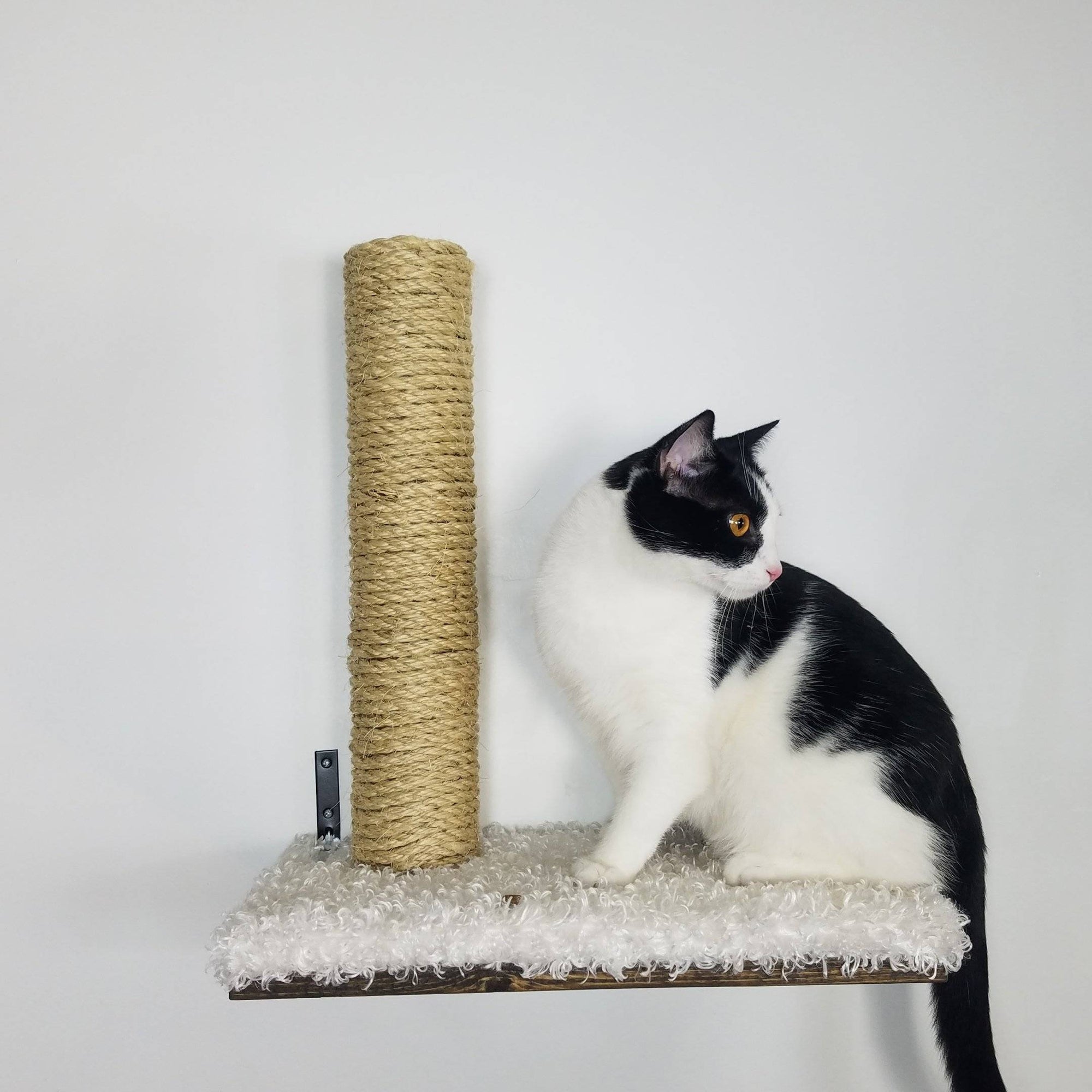 cat wall furniture