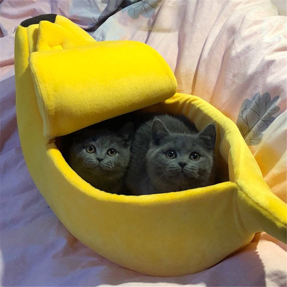 cute cat beds