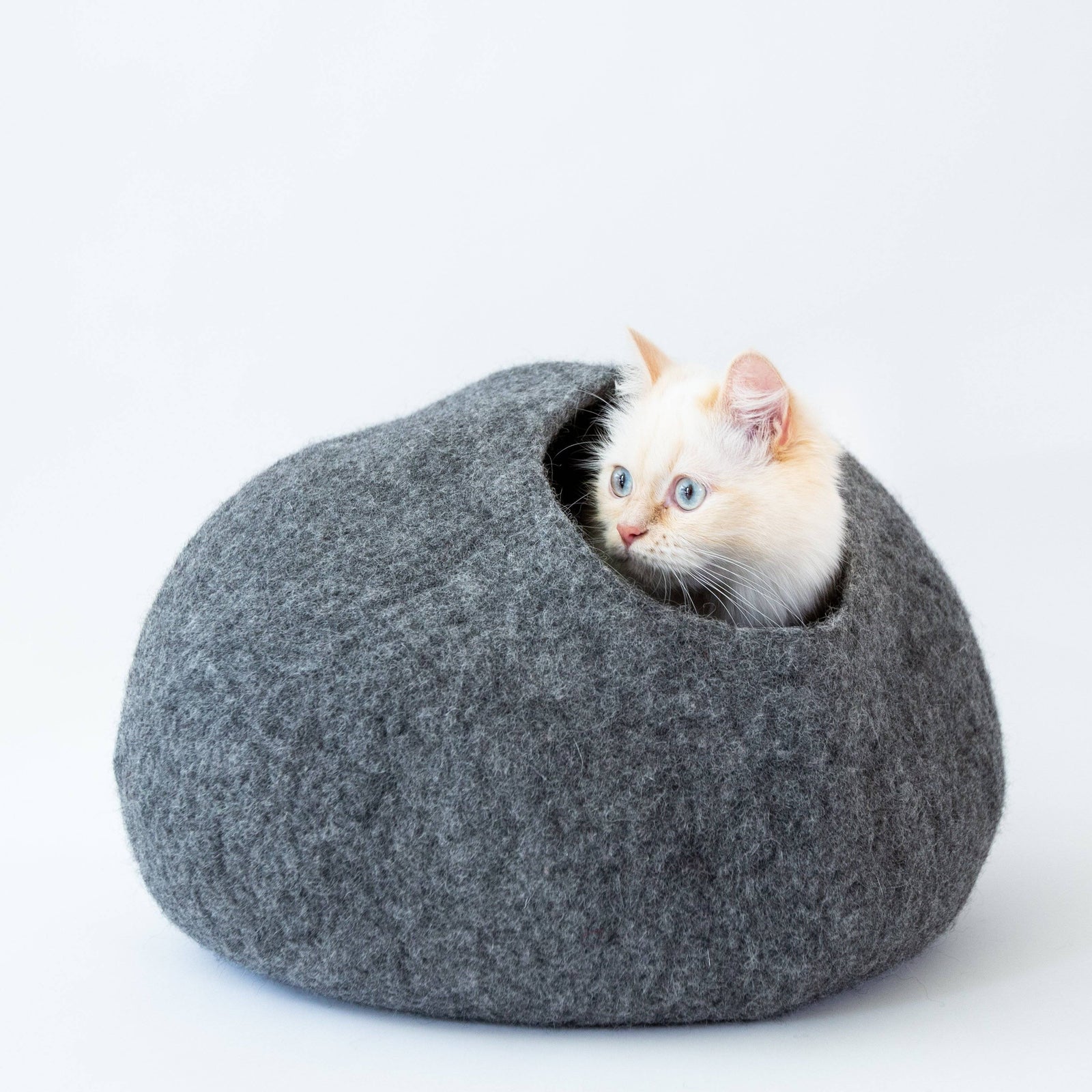 Cat Cave Co - Luxury Felted Wool Hand 