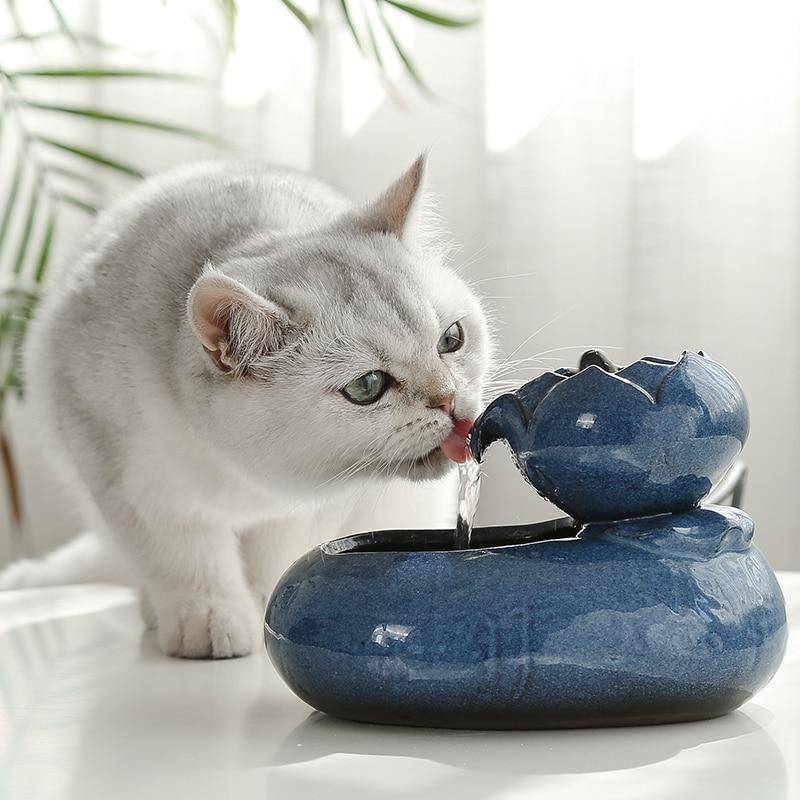 cute cat water fountain