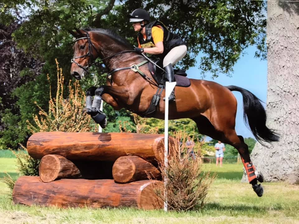 Horse using Equilibra 500 and clearing a jump