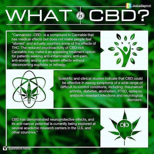 cbd information cannabis