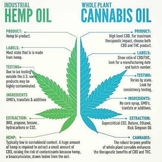 hemp cannabis oil marijuana