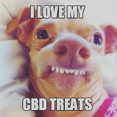 Best CBD Memes