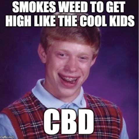 Best CBD Memes