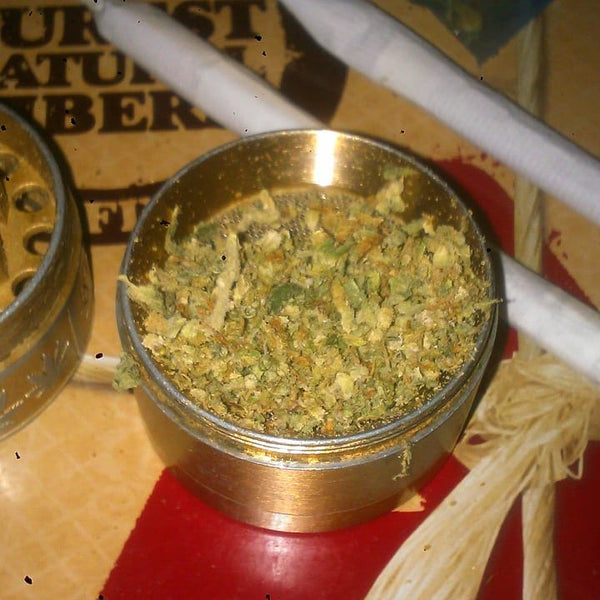 mk ultra marijuana strain grinder