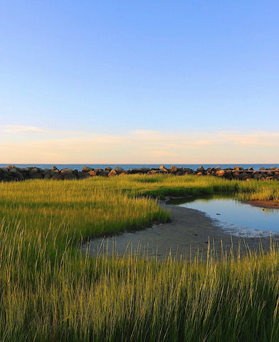 Skaket Beach