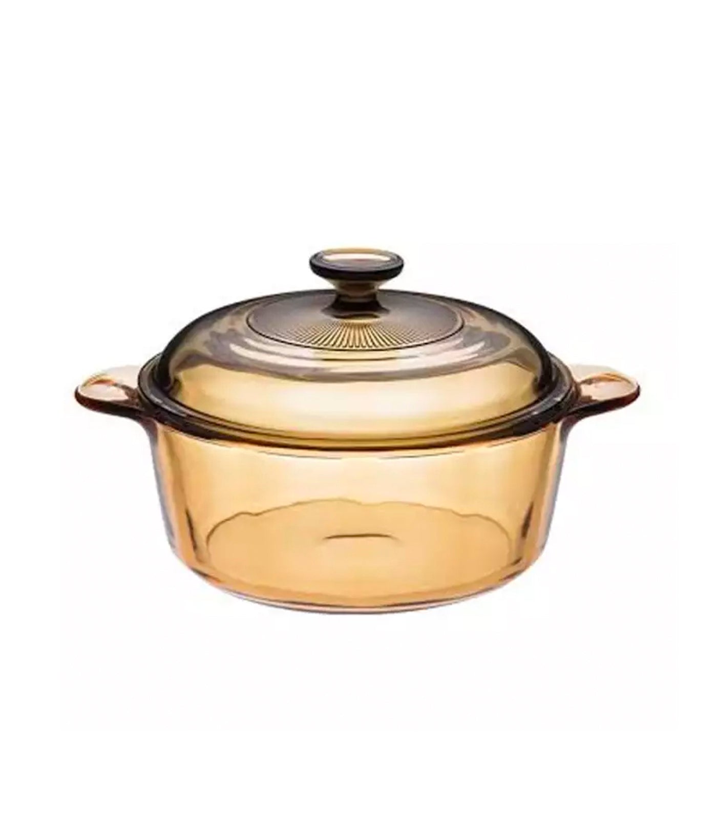 Visions® Round Dutch Oven with Glass Lid 5L