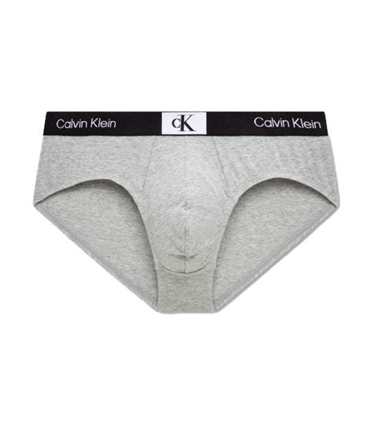 Calvin Klein 1996 Cotton Hipster Brief, white