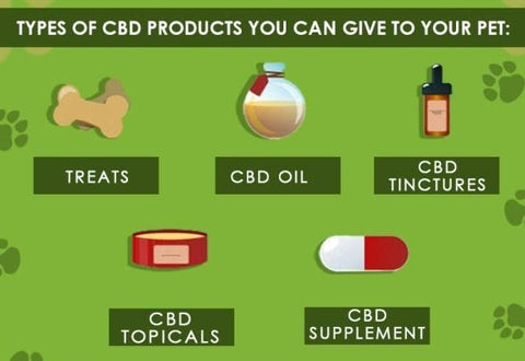 CBD pet products